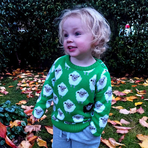 T7616 Crew Neck Green Kids Sweater Irish Motifs Lifestyle ShamrockGift.com